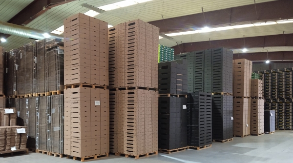 Cajas paletizadas para una logística eficiente