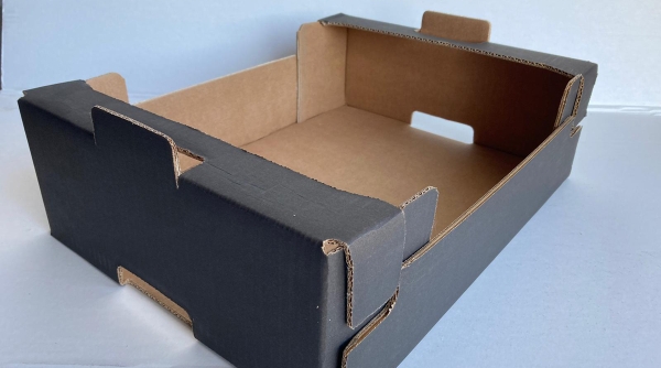 Caja de cartón innovadora para frutas